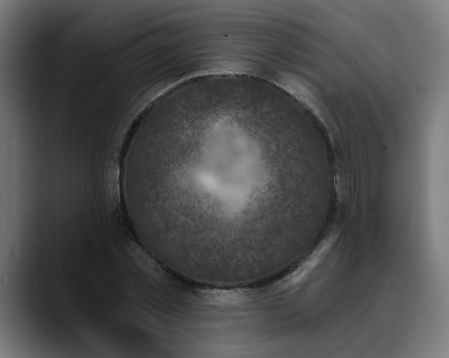 X0000089700781200707121353