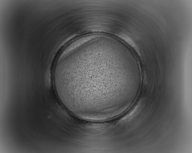 X0000089700782200707121353