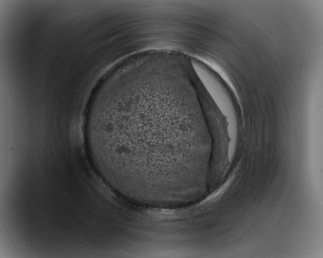 X0000089700783200707121353