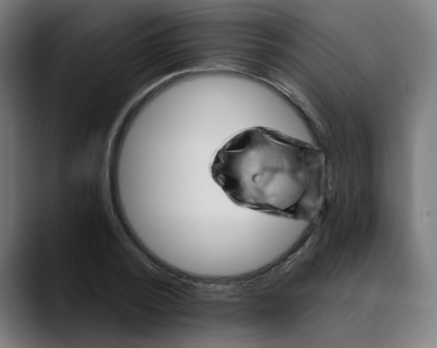 X0000089700784200707121353