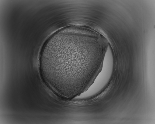 X0000089700787200707121353