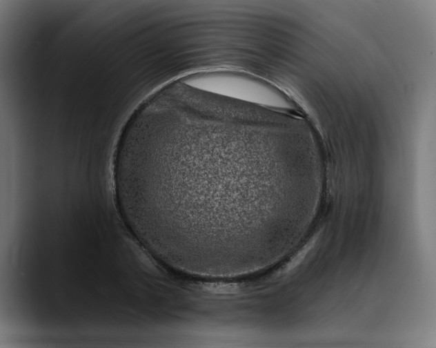 X0000089700789200707121353