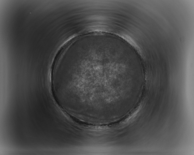 X0000089700790200707121353