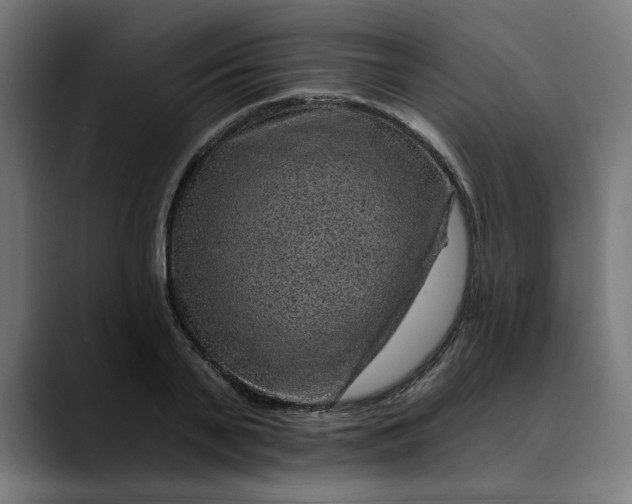 X0000089700791200707121353