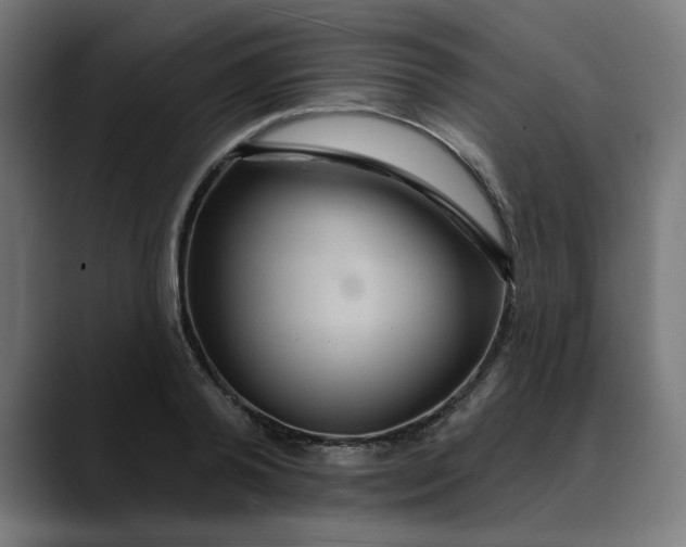 X0000089700792200707121353