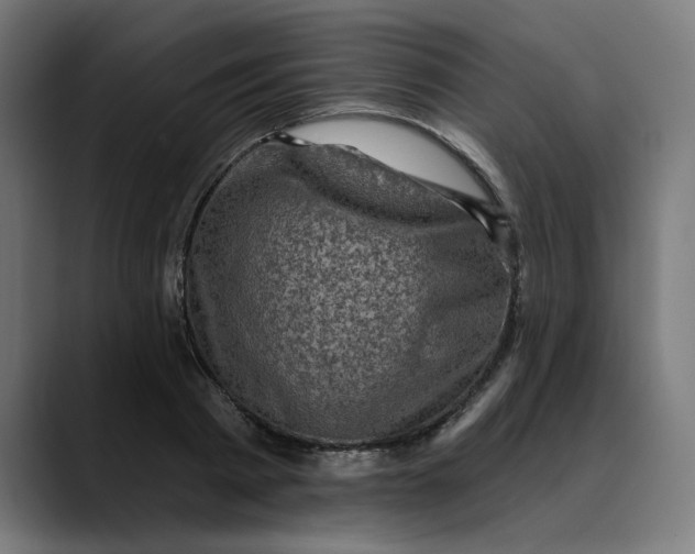 X0000089700793200707121353