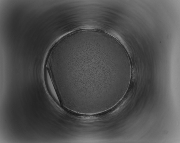 X0000089700795200707121353