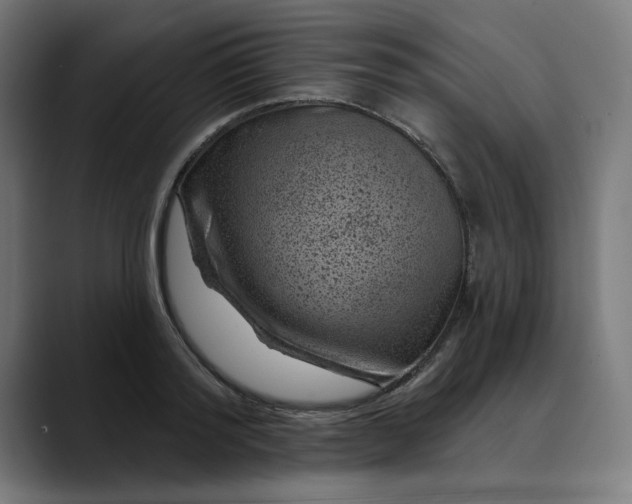 X0000089700796200707121353