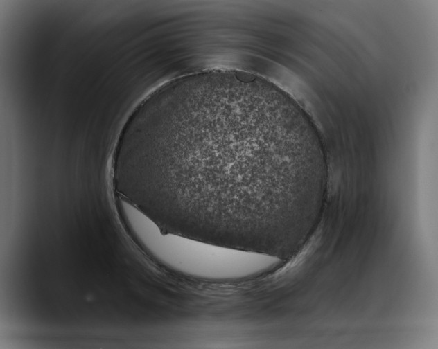 X0000089700798200707121353