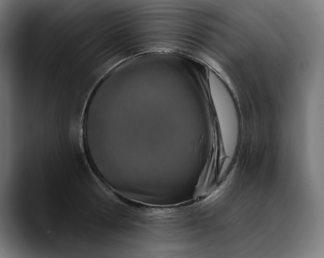 X0000089700802200707121353