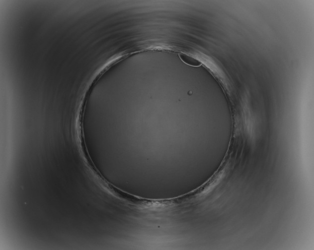 X0000089700806200707121353