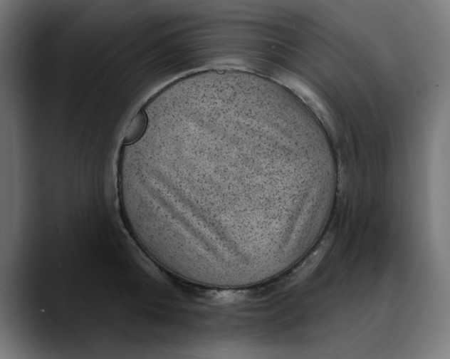 X0000089700808200707121353