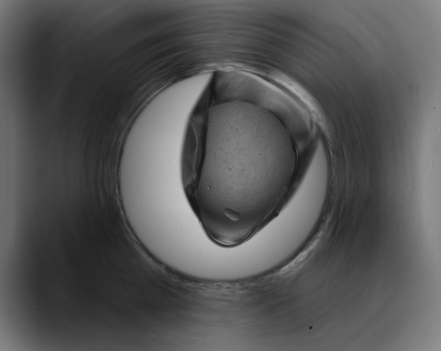 X0000089700809200707121353