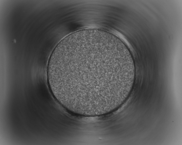 X0000089700810200707121353