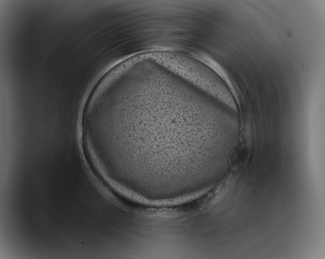 X0000089700811200707121353