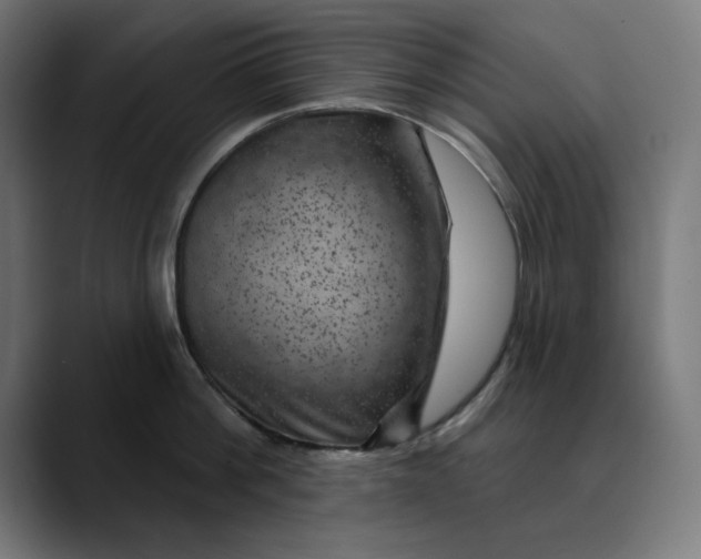 X0000089700812200707121353