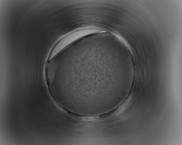 X0000089700813200707121353