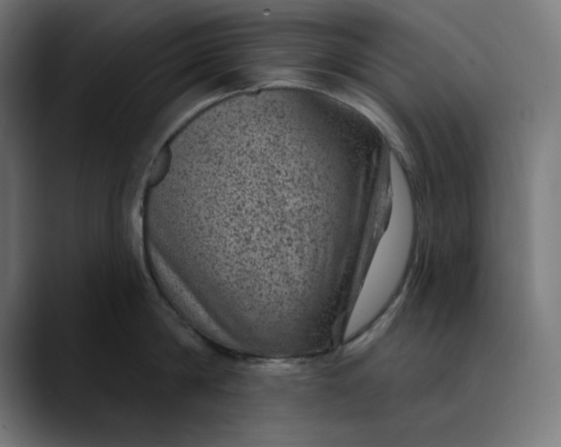 X0000089700814200707121353