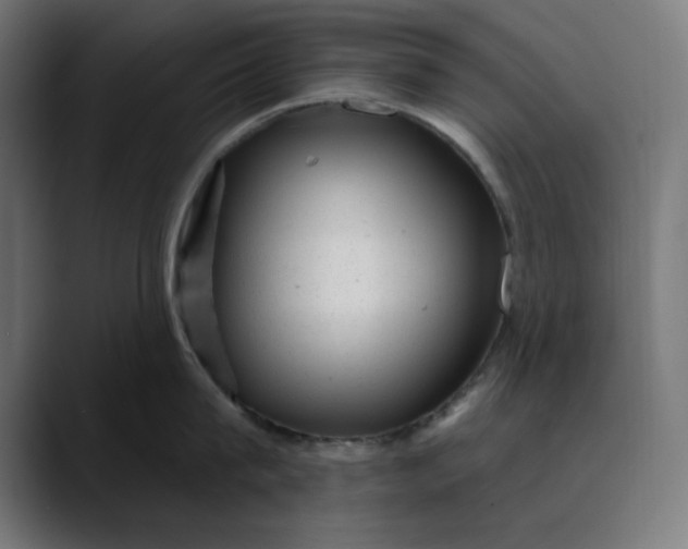 X0000089700815200707121353