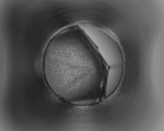 X0000089700816200707121353