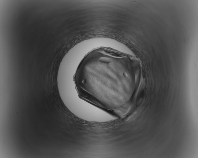 X0000089700818200707121352