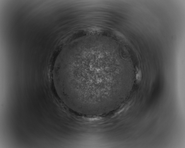 X0000089700819200707121352