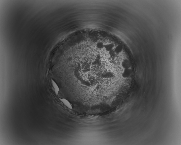 X0000089700823200707121352