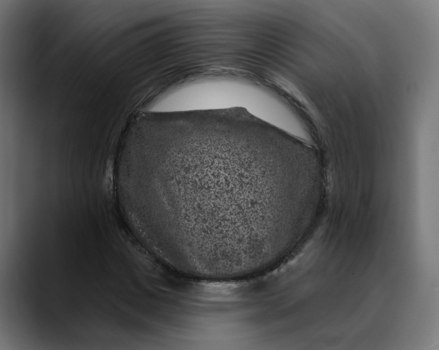 X0000089700825200707121352