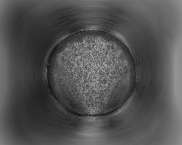 X0000089700827200707121352