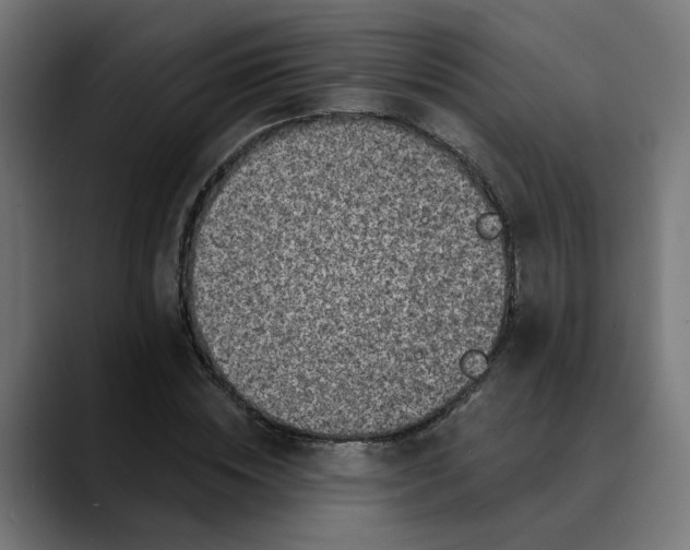 X0000089700828200707121352