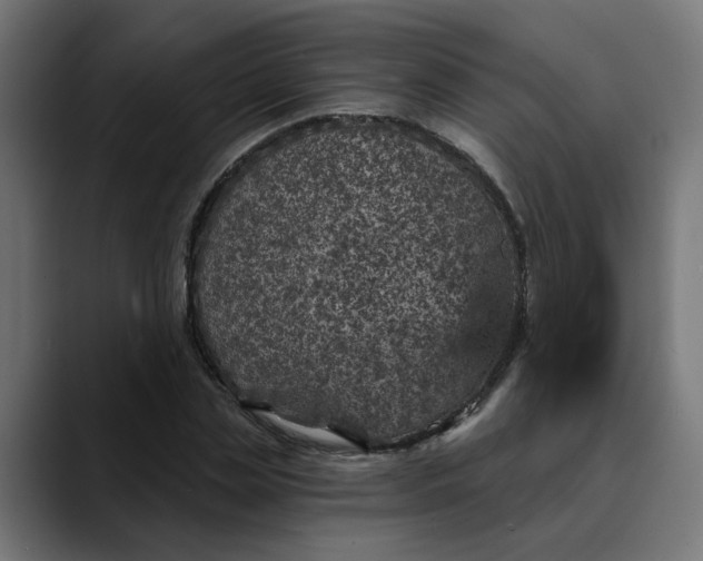 X0000089700829200707121352