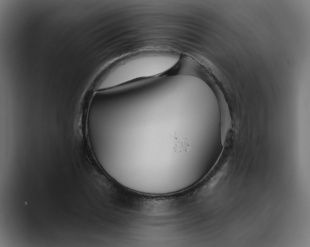 X0000089700830200707121352