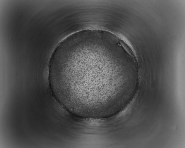 X0000089700831200707121352