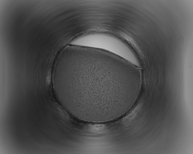 X0000089700833200707121352