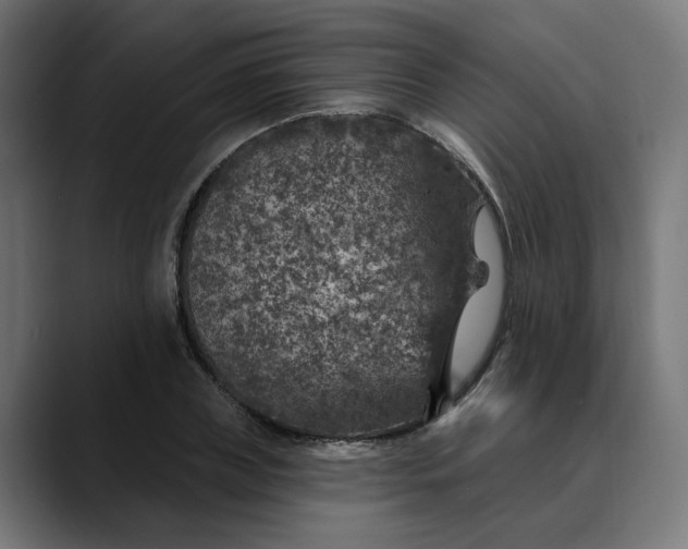 X0000089700835200707121352