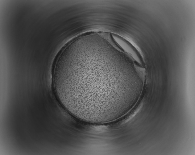 X0000089700837200707121352