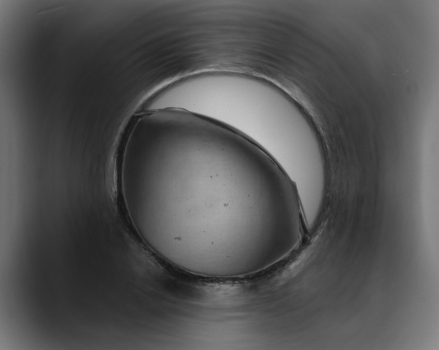 X0000089700838200707121352