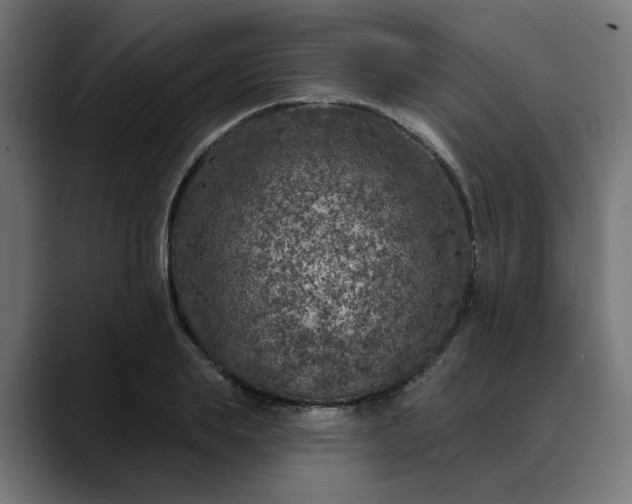 X0000089700839200707121352