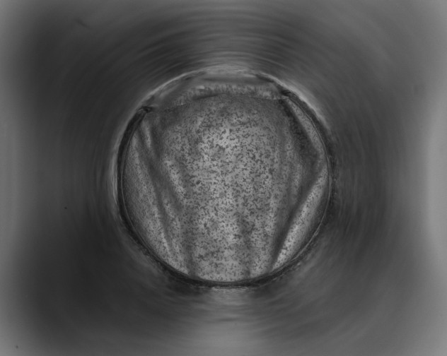 X0000089700840200707121352