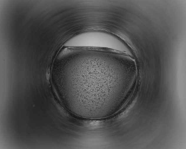 X0000089700841200707121352