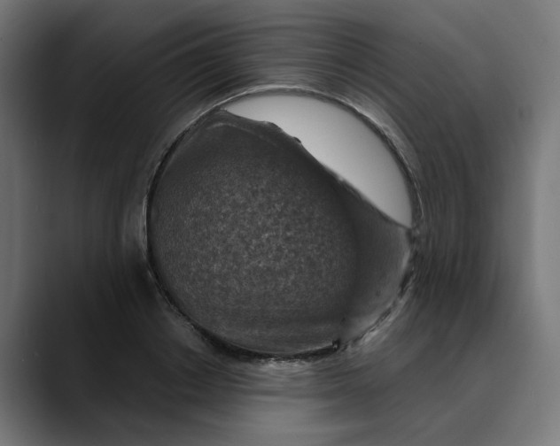 X0000089700842200707121352