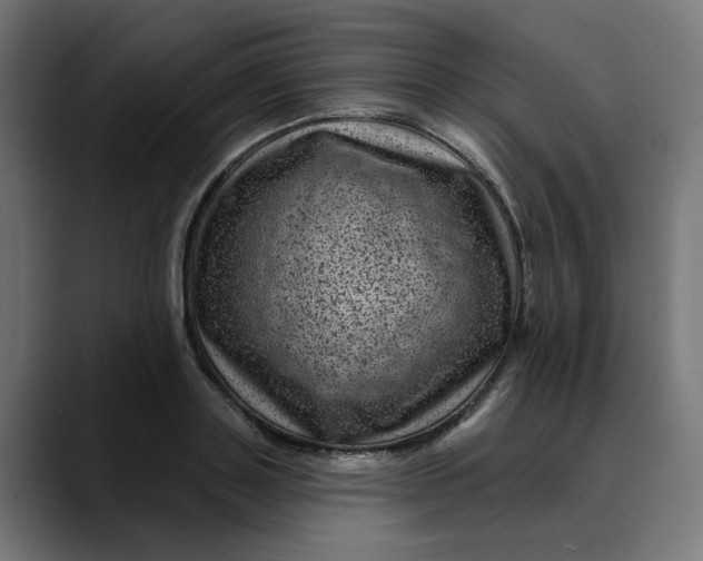 X0000089700843200707121352