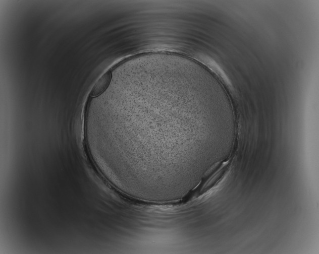 X0000089700844200707121352