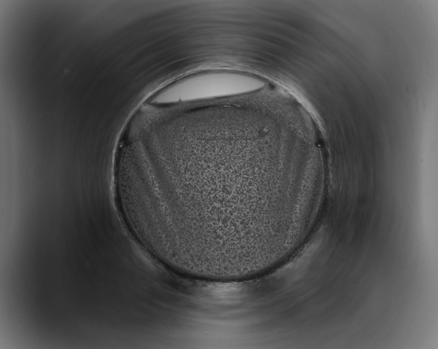 X0000089700845200707121352