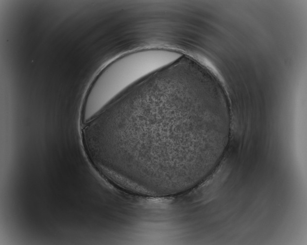 X0000089700847200707121352