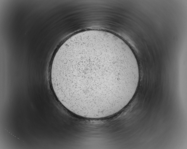 X0000089700848200707121352