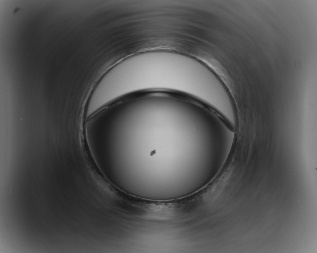 X0000089700850200707121353