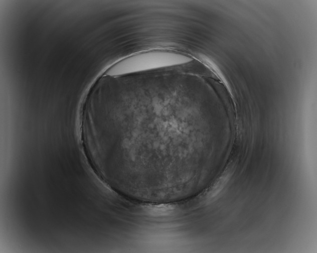 X0000089700851200707121353