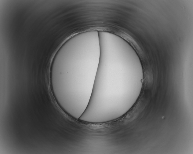 X0000089700852200707121353