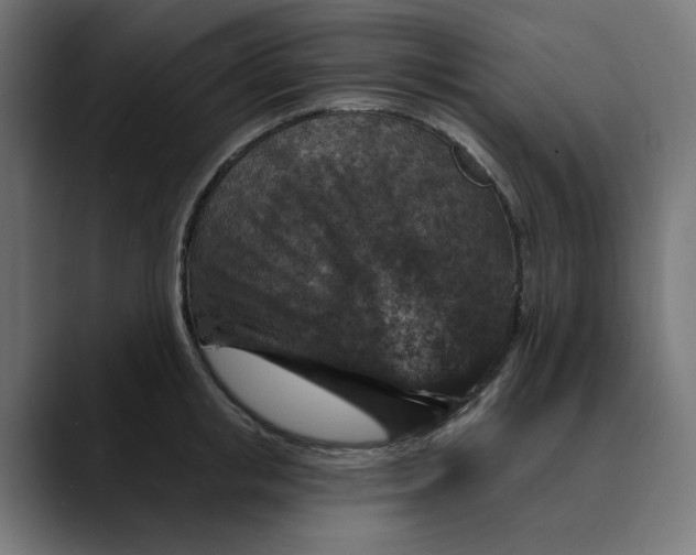 X0000089700853200707121353